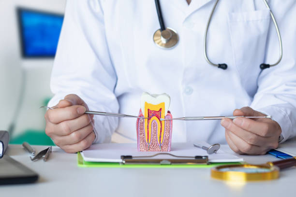 Best After-Hours Dental Trauma Care in Pea Ridge, WV